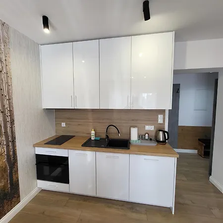 Διαμέρισμα Zatoka